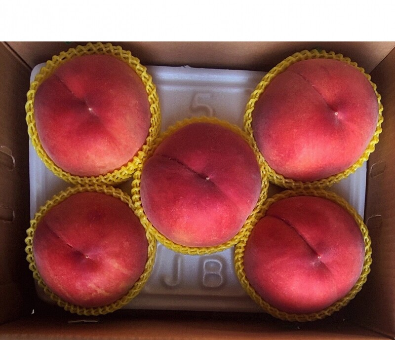 정이가는복숭아농원,정이가는복숭아 1.8kg,3kg,4kg